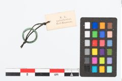 Foto von Bronzering (NHMW-PRAE-026505)